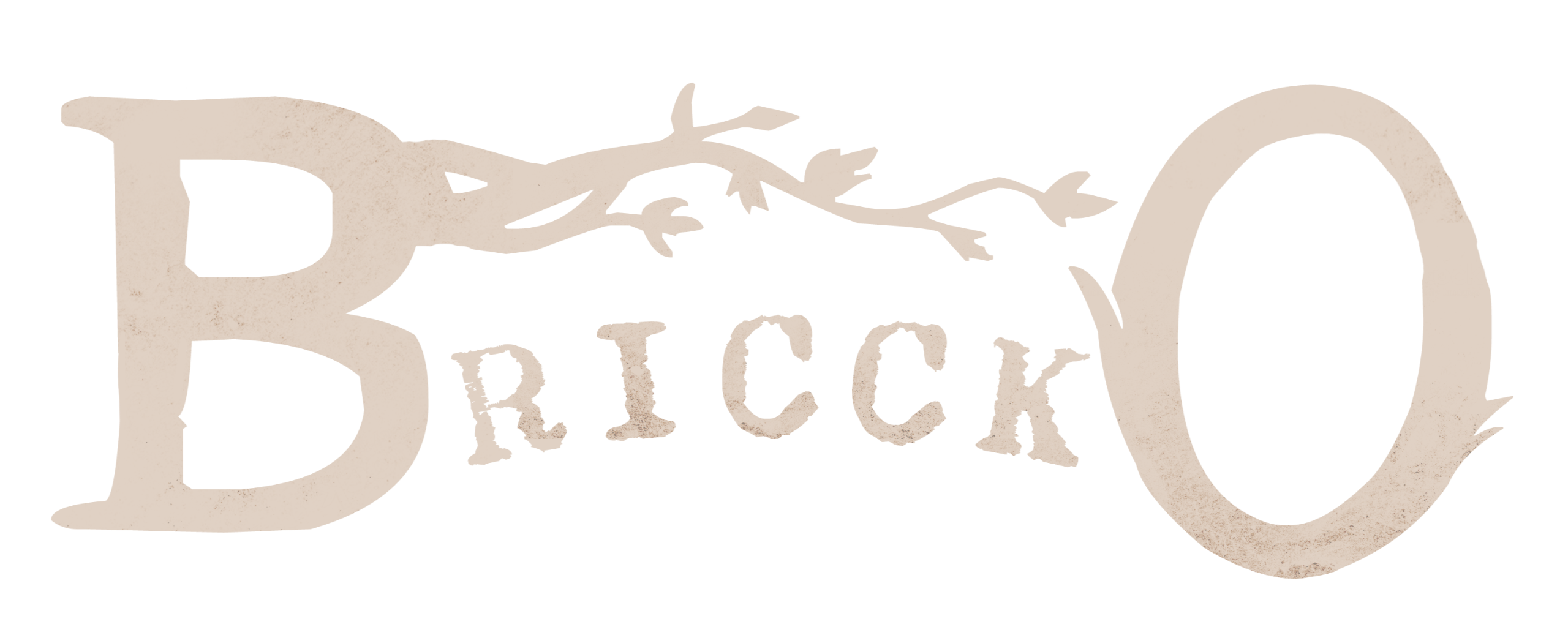 briccko briccko
